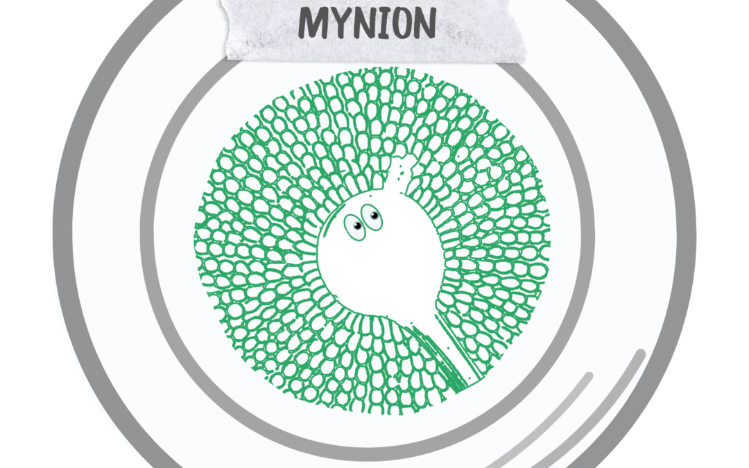 ANR – Mynion